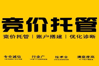 谷歌SEM操作技巧：案例解析与优化